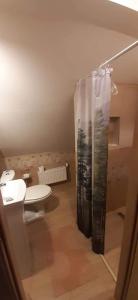 Apartament pod lasem