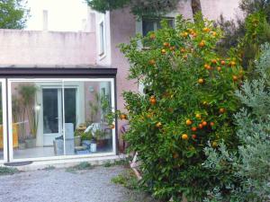 Villas Villa d'une chambre avec piscine privee jardin clos et wifi a Montseret : photos des chambres