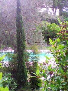 Villas Villa d'une chambre avec piscine privee jardin clos et wifi a Montseret : photos des chambres