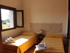 d Pietraia 11B Trilo img3