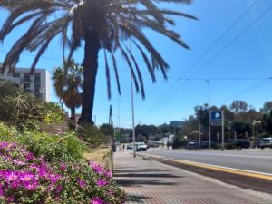 AcquaChiara Suite img24