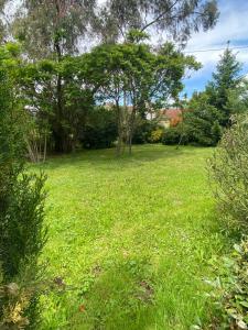Appartements Gite avec piscine et jardin Le Cosy - Les Bergeronnettes Bergerac : photos des chambres