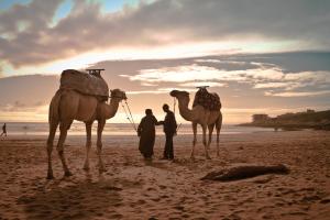 Km 17, Route D'Essaouira Station Touristique, Taghazout 80750, Morocco.