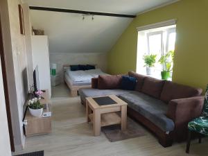 Malinowa 36 Apartamenty