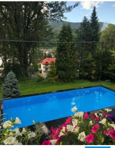 Poncyljuszówka