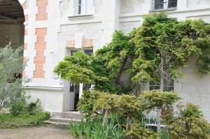 Appartements L'Orangerie du Chateau - LE NID - GITE 2 Personnes : photos des chambres