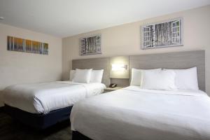 Standard Queen Room with Two Queen Beds room in Hotel Aspen Flagstaff/ Grand Canyon InnSuites