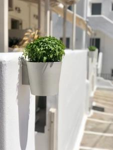 Superior Studio room in Galanis Sweet Home Milos