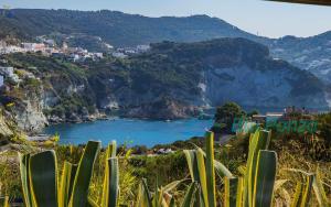 BluPonza - 3 posti in zona Mare - App Falco