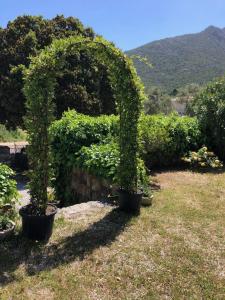 Maisons d'hotes A Martinella : photos des chambres