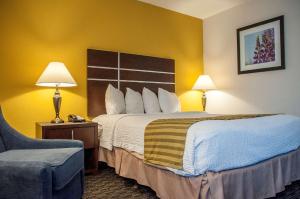 Queen Room - Non-Smoking room in Best Western Village Inn