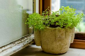 ANDROMEDA lovely one bedroom apartment