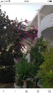Danae hotel Rhodes Greece