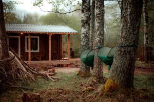 Rijnieki upes namiņš