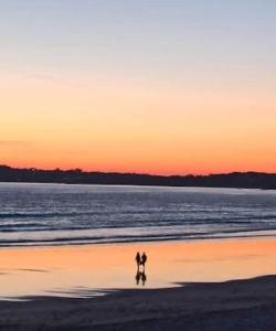 Pension Paxaro Negro