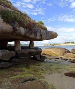 Pension Paxaro Negro