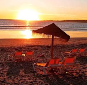 Pension Paxaro Negro