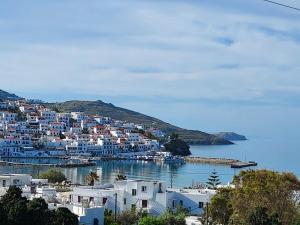 Villa Arni Andros Greece