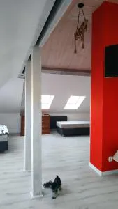 Apartament Witkacego Czerwony - Rogawica