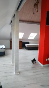 Apartament Witkacego Czerwony