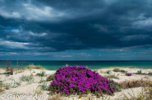 Villetta Splendor img18
