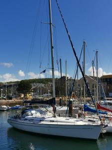 Bateaux-hotels Spacieux voilier : photos des chambres