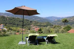 Casa de Campo - Cinfães do Douro