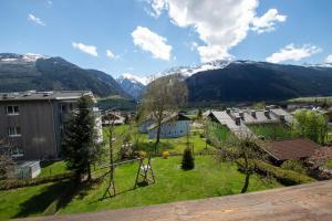 Profelt`s Apartments Uttendorf - Steinbock Lodges