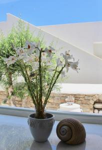 Aegeo Inn Antiparos Greece