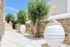 Aegeo Inn Antiparos Greece