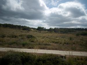 CASTELLSOL ARENAL HOME BEACH