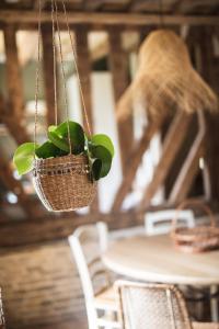 Maisons de vacances Locations - Domaine Le Coq Enchante : photos des chambres