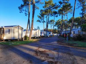 Maisons de vacances Bungalow de 2 chambres avec piscine partagee jardin amenage et wifi a Saint Julien en Born a 4 km de la plage : photos des chambres