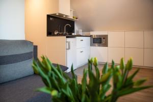 TPS Apartamenty Olimpijskie