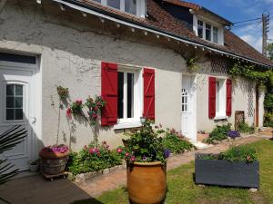 B&B / Chambres d'hotes 18 chateaux et Beauval sur un rayon de 30 km : photos des chambres