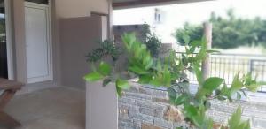 Petries Studios Evia Greece