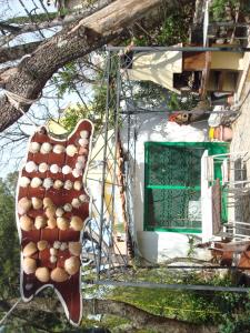 Apartmani Žafaranić