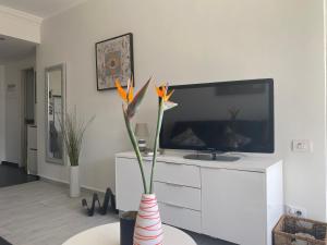 Ferienwohnung Buena Vista