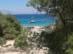 Greece Charter Sailing Experience by MYBlue4you Paros Greece