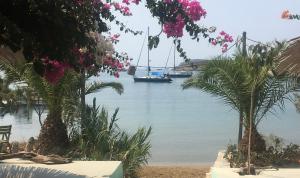 Greece Charter Sailing Experience by MYBlue4you Paros Greece