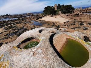 Maisons de vacances Haut en Couleurs : photos des chambres