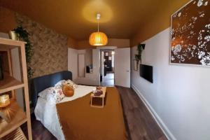 Appartements Arty room JACCUZI & SPA CENTRE VILLE HAUT DE GAMME : photos des chambres