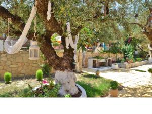 Sole e Mare Apartments Zakynthos Greece