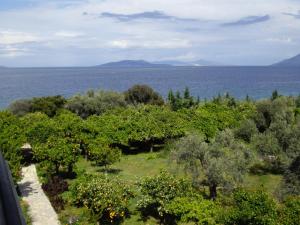 Magda Hotel Apartments Argolida Greece