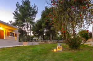 Forest Resort Skiathos Skiathos Greece