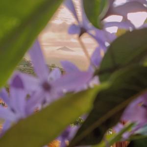 Apartamento Aymara de StarApsTenerife