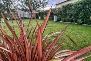 Maisons de vacances Le cottage GAMA Suisse Normande : photos des chambres