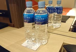 Queens Hotel Chitose