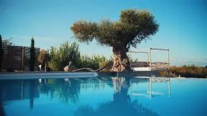 Villa de luxe avec piscine, vue imprenable - La Trinité-Surzur