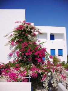 Emilianos Studios 103